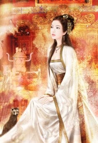 下岗向导是猫猫妻