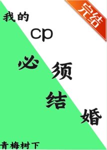 (文野同人)我的cp必须结婚